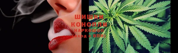 прущие крисы Белокуриха
